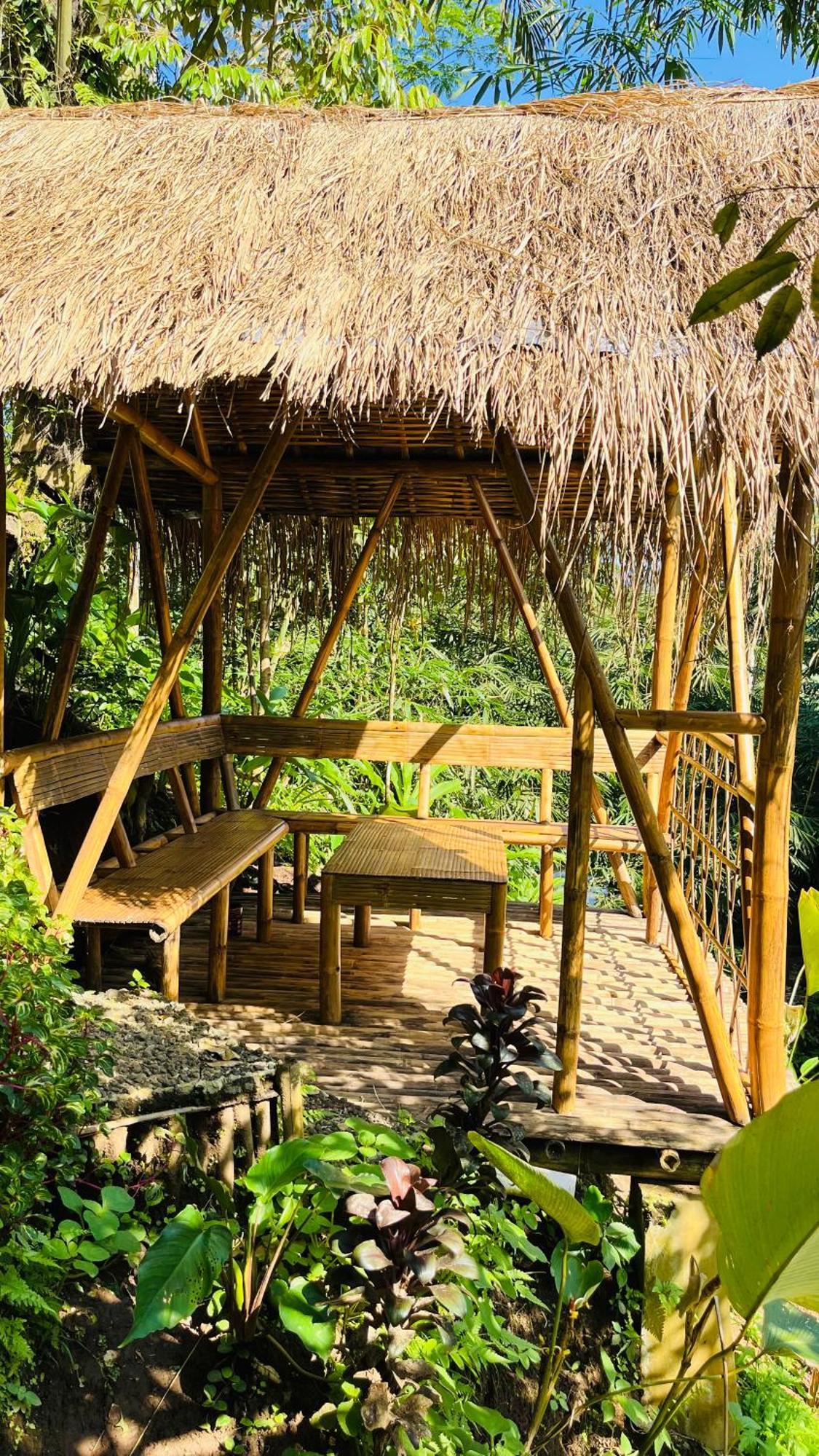 Jambu  El Bamboo Guesthouse المظهر الخارجي الصورة